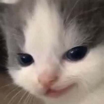 มะอ๋วย tweet media