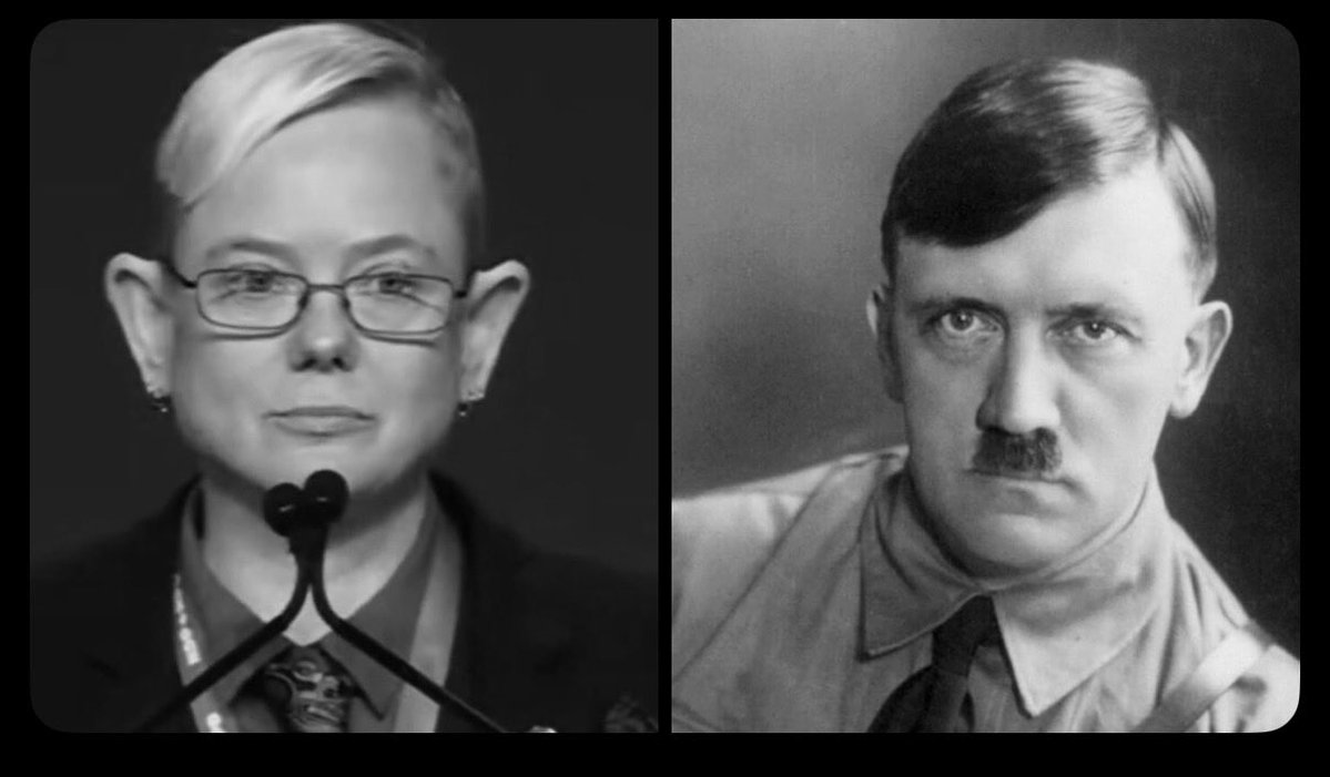 TruthSeeker01011 tweet media