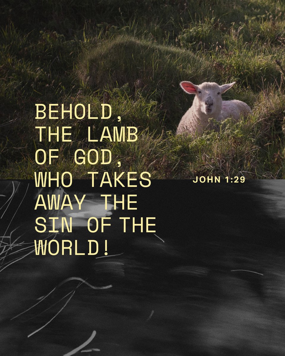 YouVersion Bible App tweet media