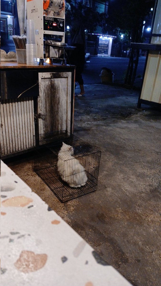 D&D Store||order by wa💗 tweet media