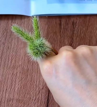 ㅇㅅㅇ)/ tweet media