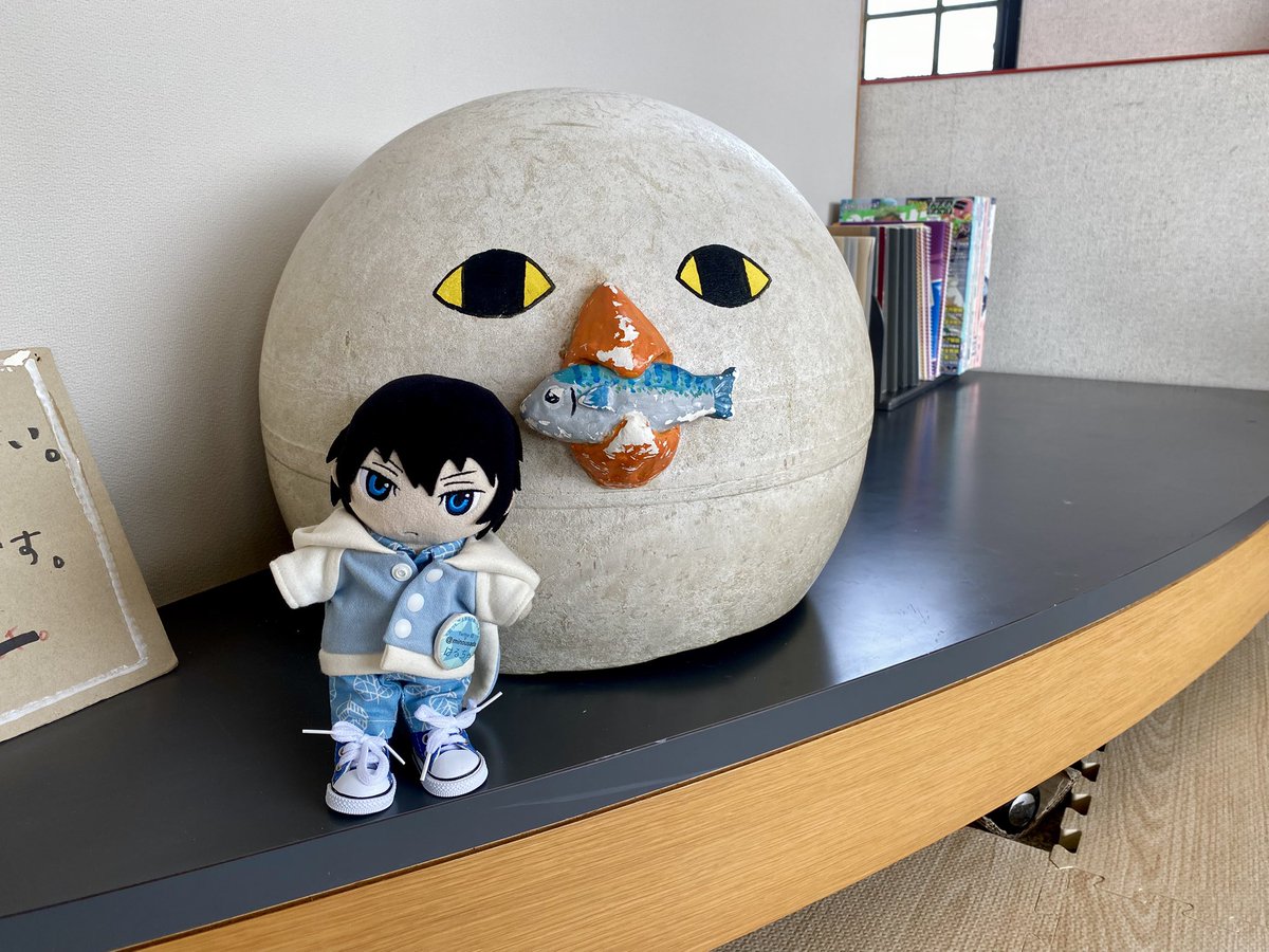 みの🐬 tweet media