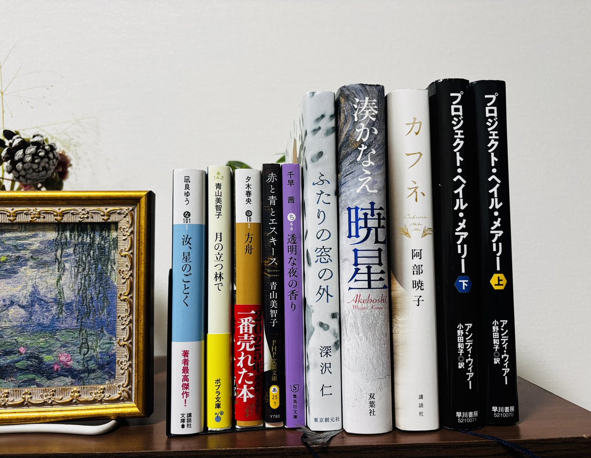 しろ。京都の読書家 tweet media