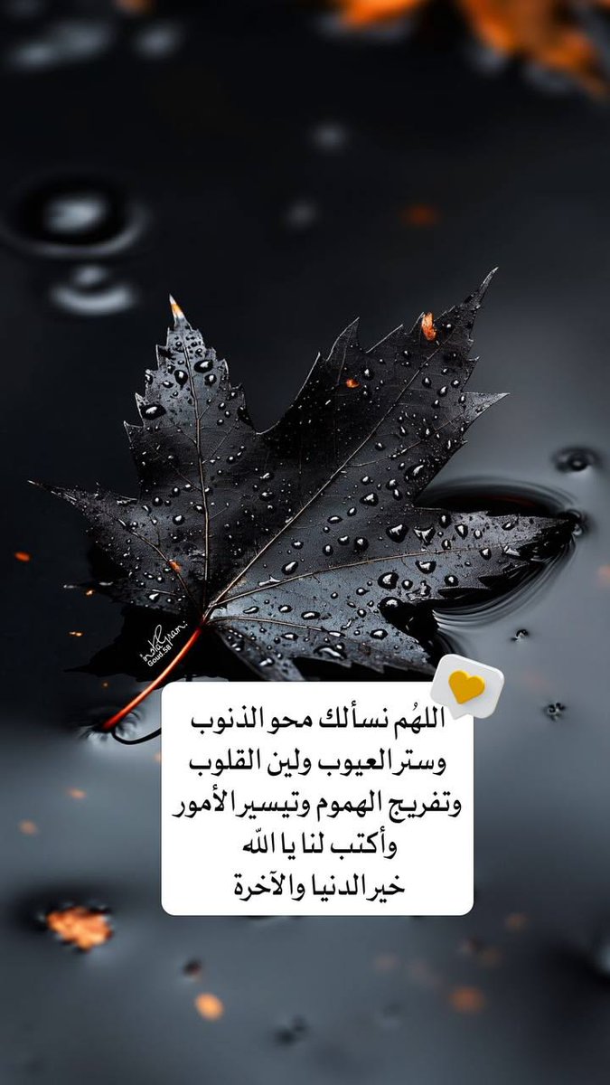 🌷رهف 🌹🌹 tweet media