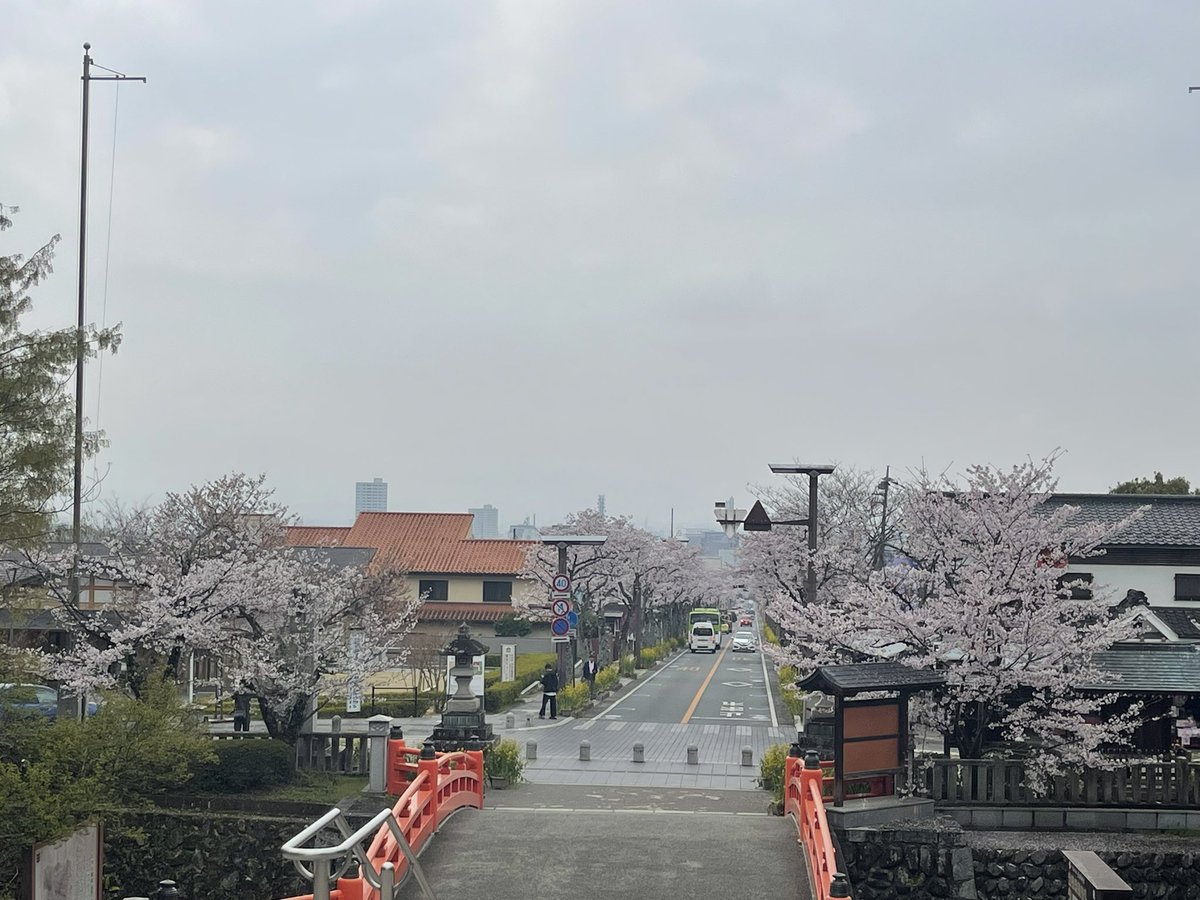 甲斐國総鎮護　武田神社 tweet media