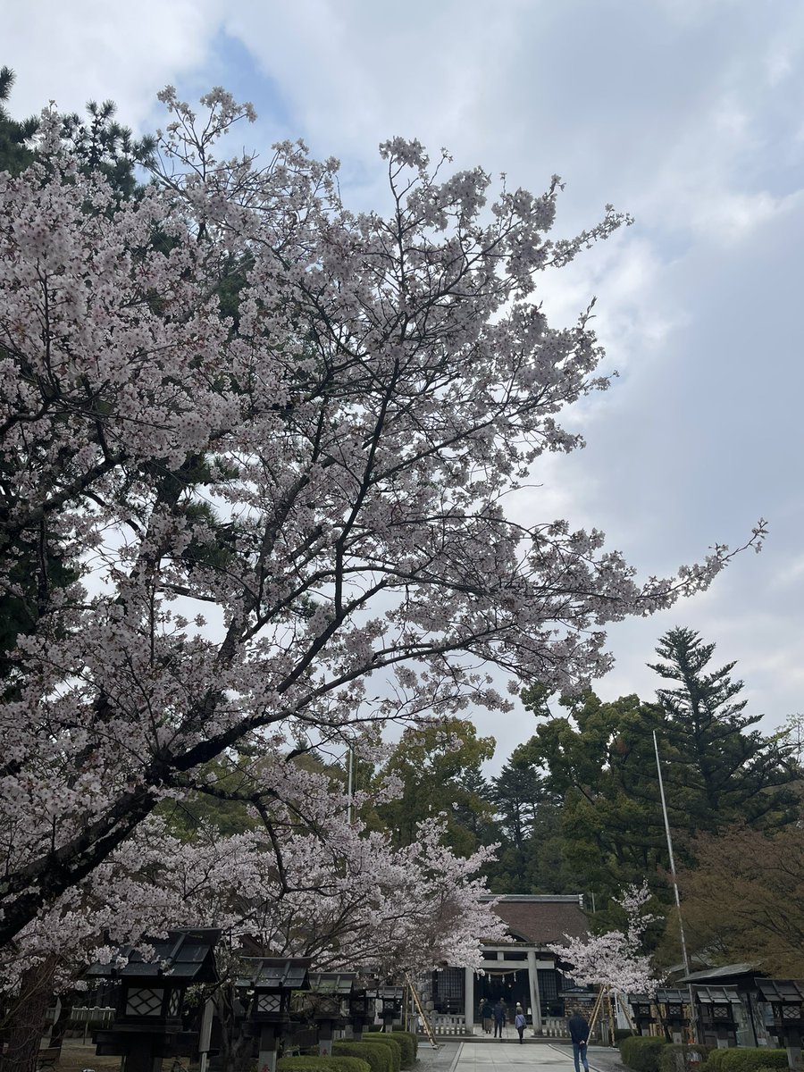 甲斐國総鎮護　武田神社 tweet media