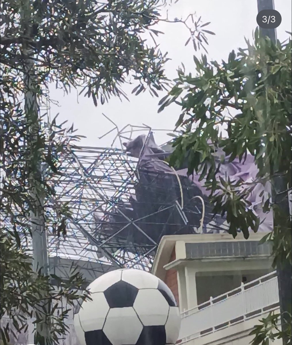 Kelvin Mandala Putra tweet media