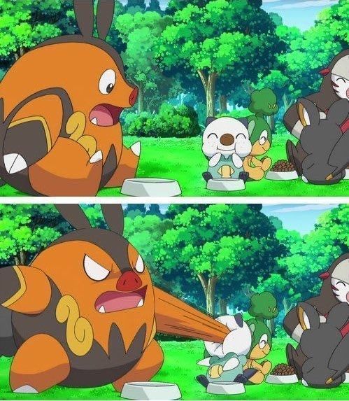 Pokémon Daily tweet media