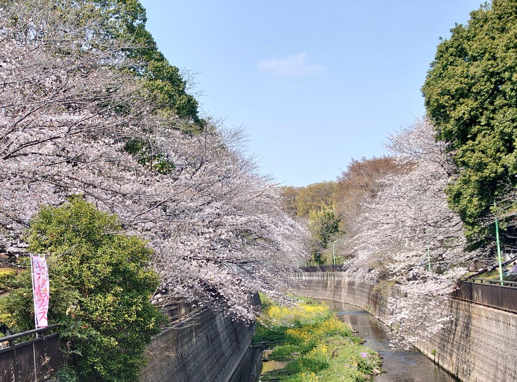 TAMA@家庭菜園･野菜栽培 tweet media