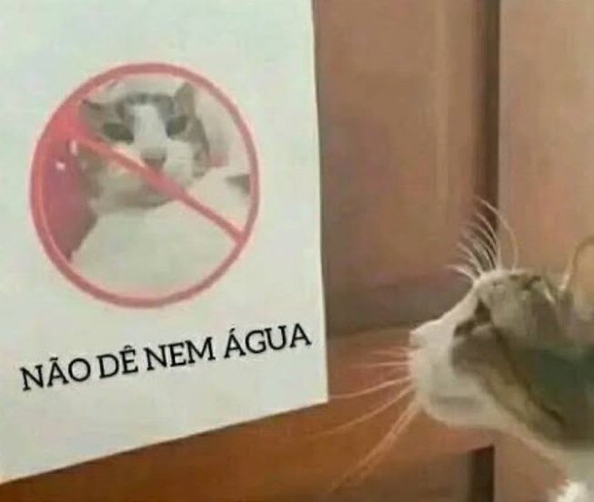 Merendando 🦦 tweet media