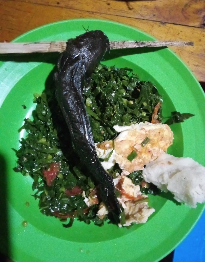 𝐈𝐫𝐢𝐬𝐡𝐦𝐚𝐧  tweet media