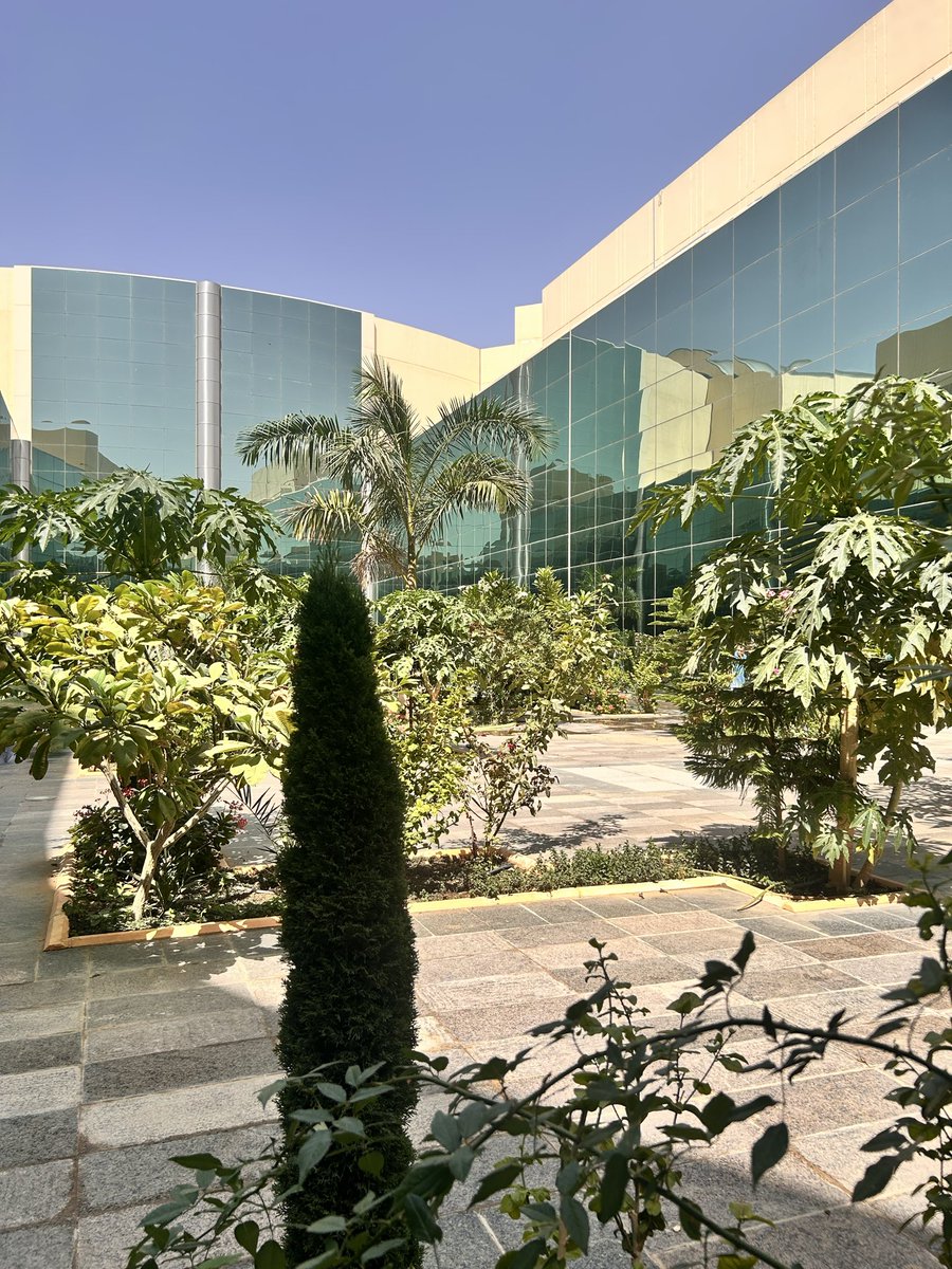 Rahaf 🌱 tweet media