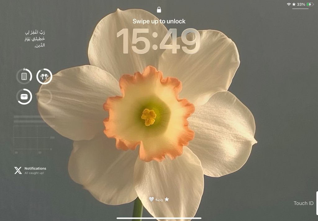 🍂🔕 tweet media