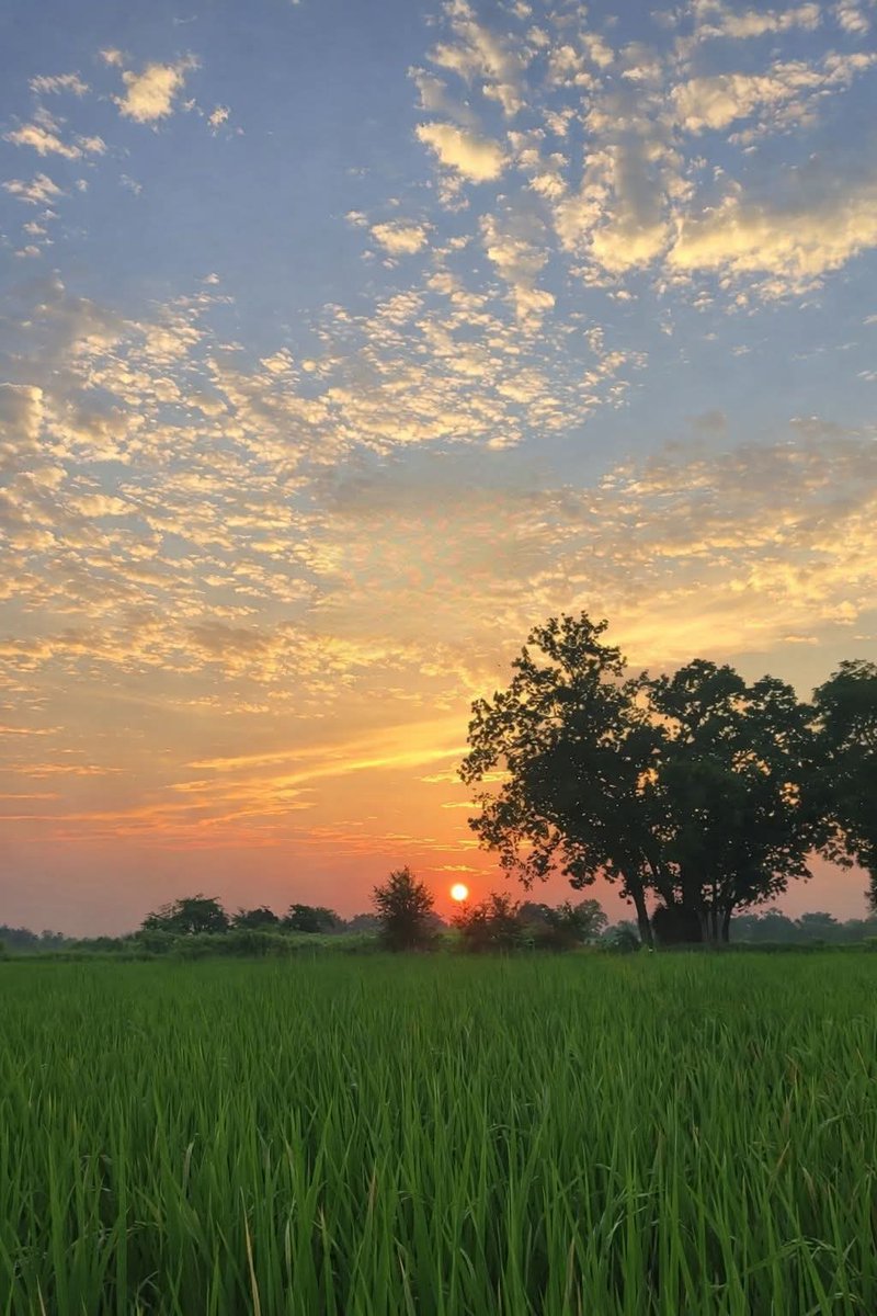 शाम हुई तो सूरज सोचे
सारा दिन बेकार जले थे...

      शुभ संध्या 🙏