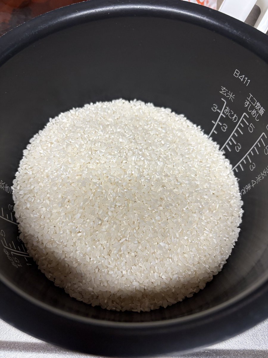 犬田エリー@ライター&ペットシッター tweet media