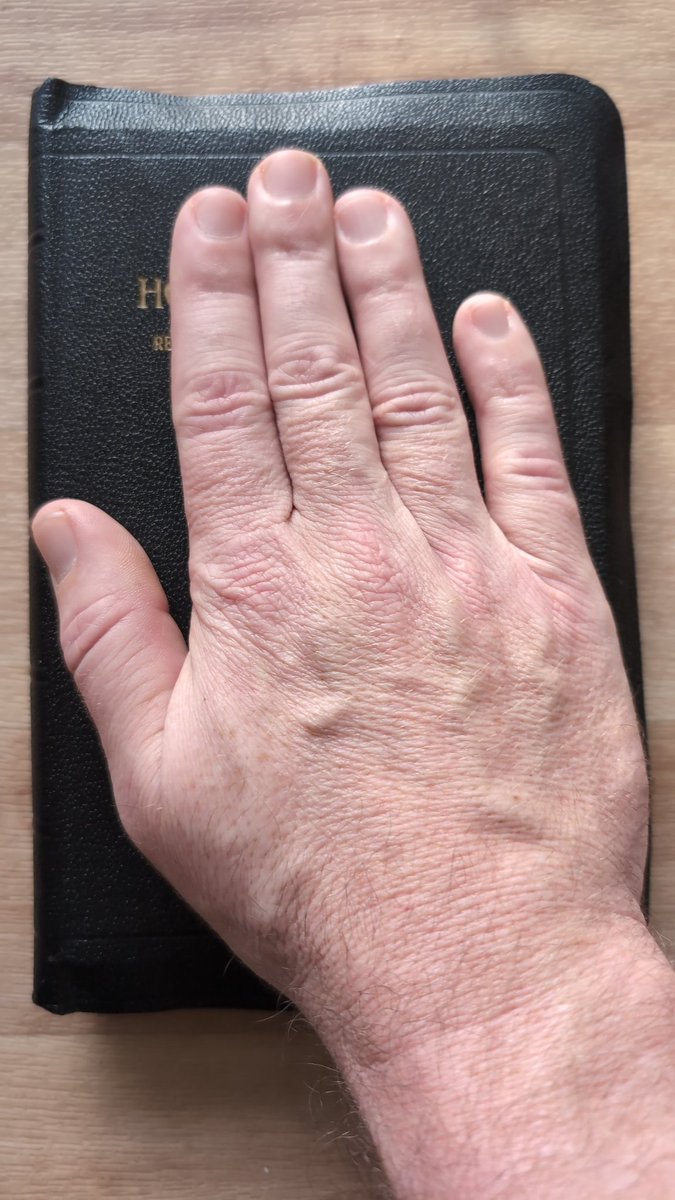 Bite of the 🍏 News tweet media