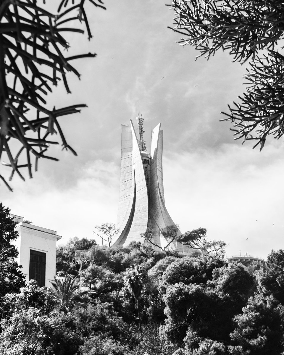 أكرم tweet media