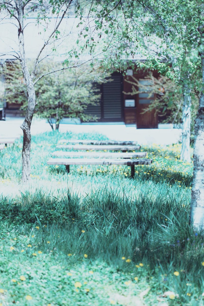 oruko_'s tweet photo. https://t.co/mwtbzhwFDU