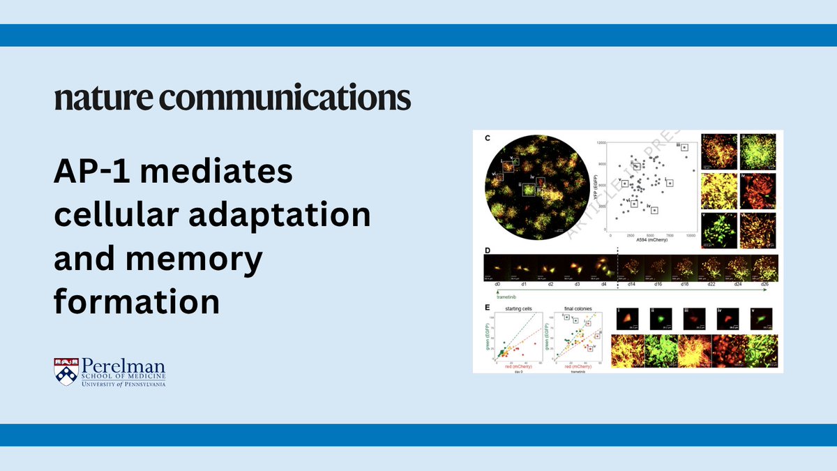 Penn Medicine CSO tweet media