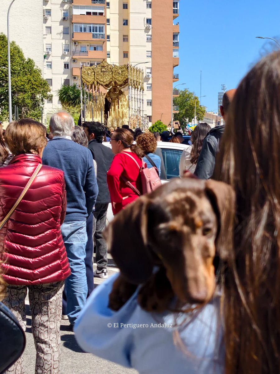 Fco José Borge tweet media