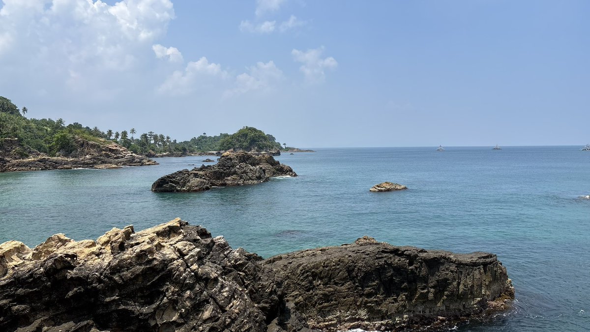 Samara May tweet media