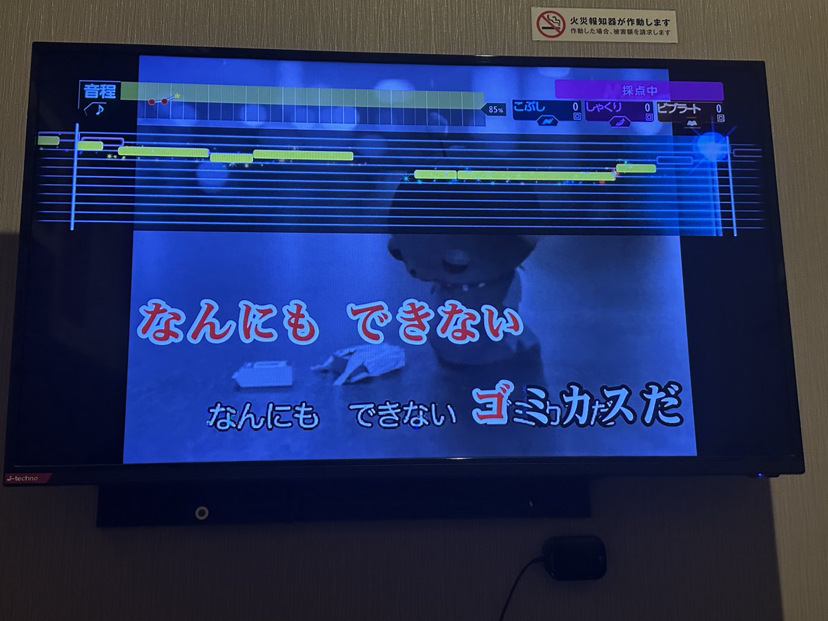 suu🍀🐮 tweet media