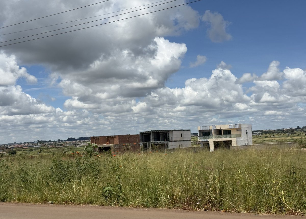 mmatigari tweet media