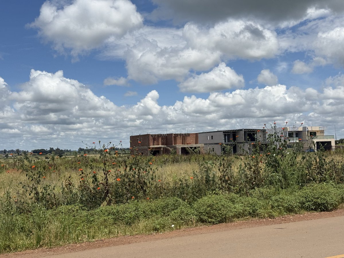 mmatigari tweet media