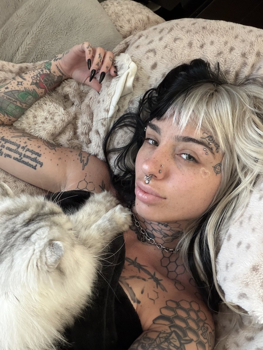 cruella morgan tweet media