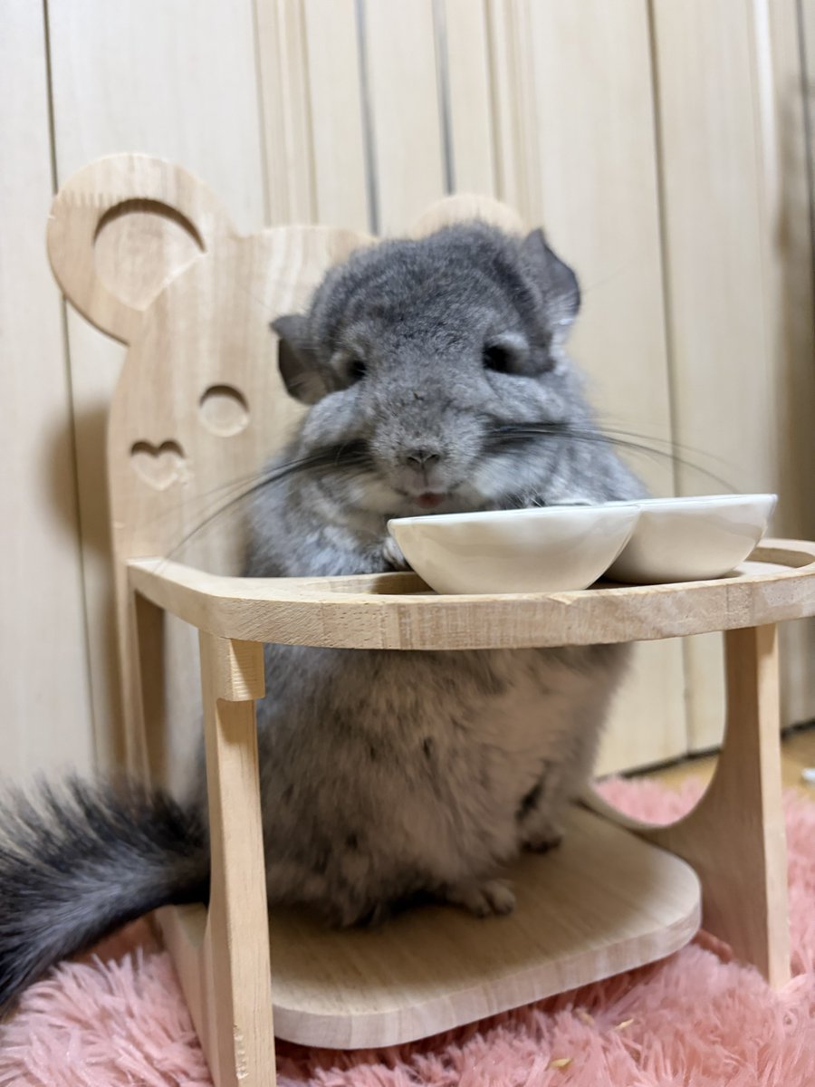 ぴゅあすまいる♪ tweet media