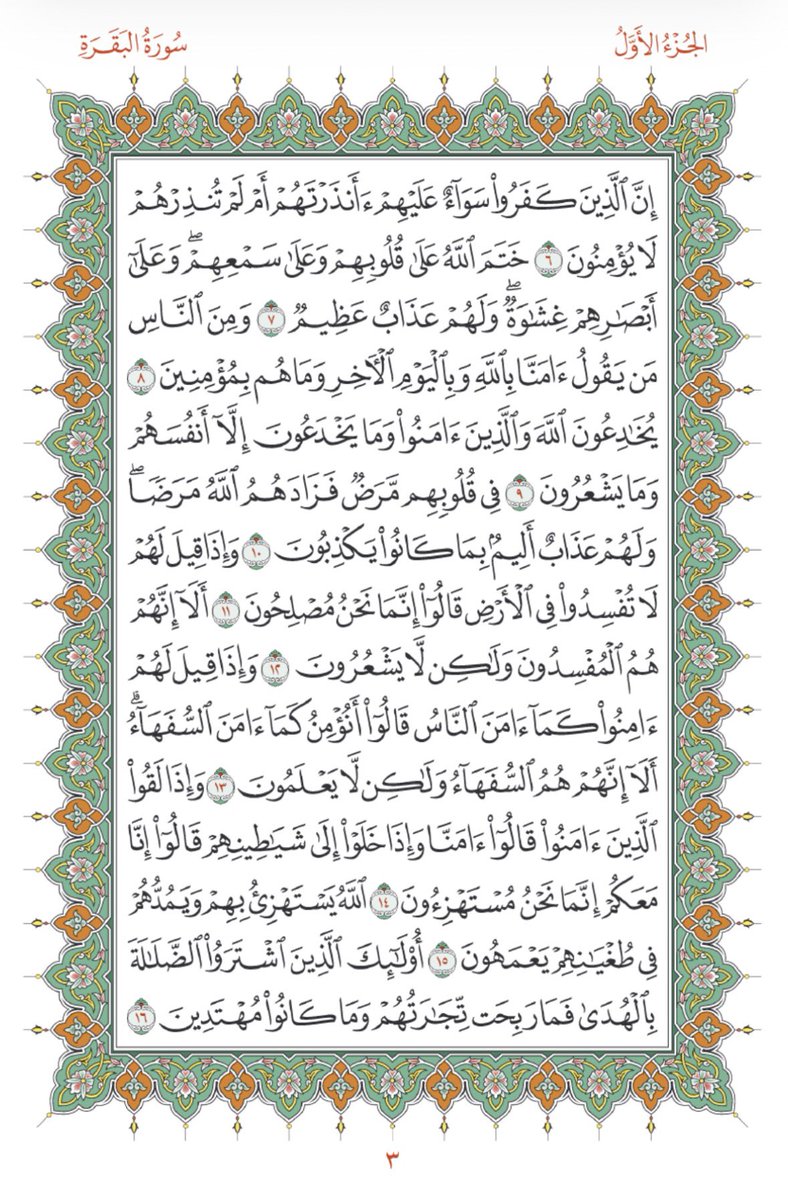 🇵🇸 tweet media