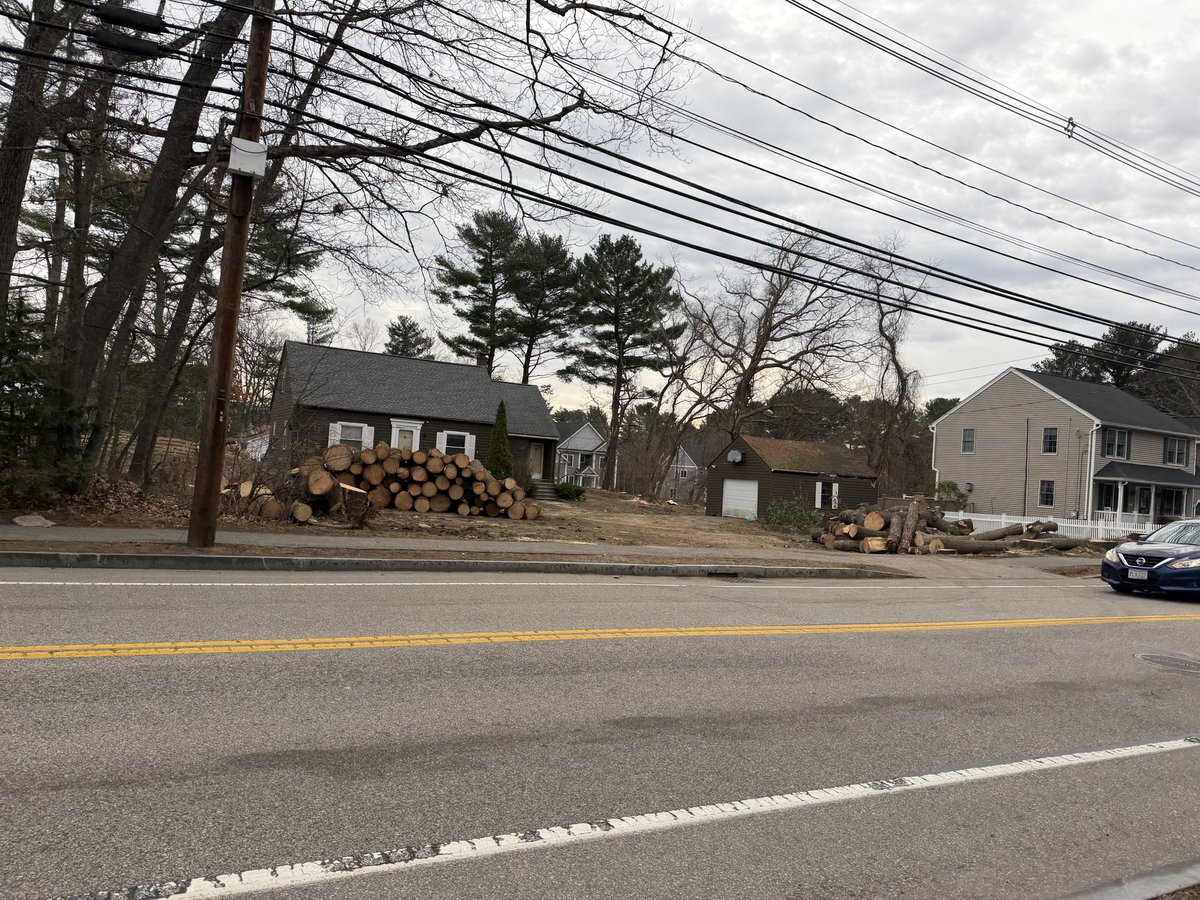 more beautiful trees being cut down for church parking lots in natick. record summer temps and more shade on sidewalks instantly gone. these trees were huge and beautiful. soul crushing. <a href="/NatickPatch/">Natick Patch</a> <a href="/NatickDPW/">Natick Public Works</a> 💔