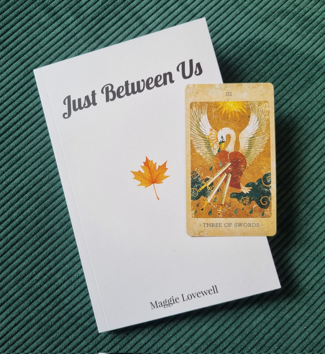 Magnolie tweet media