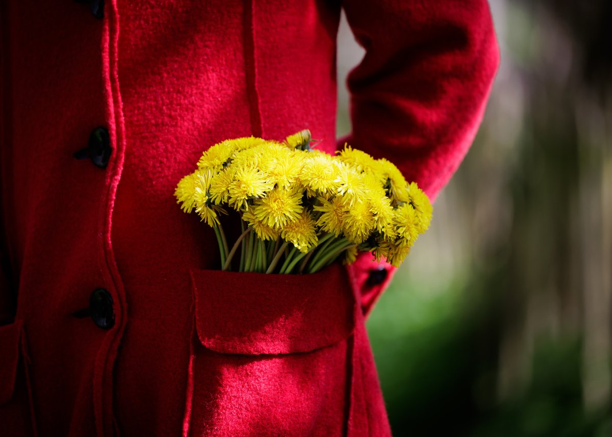 Cik ala t'cha tweet media