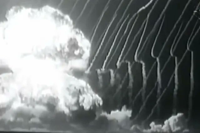 Diplodocus news tweet media