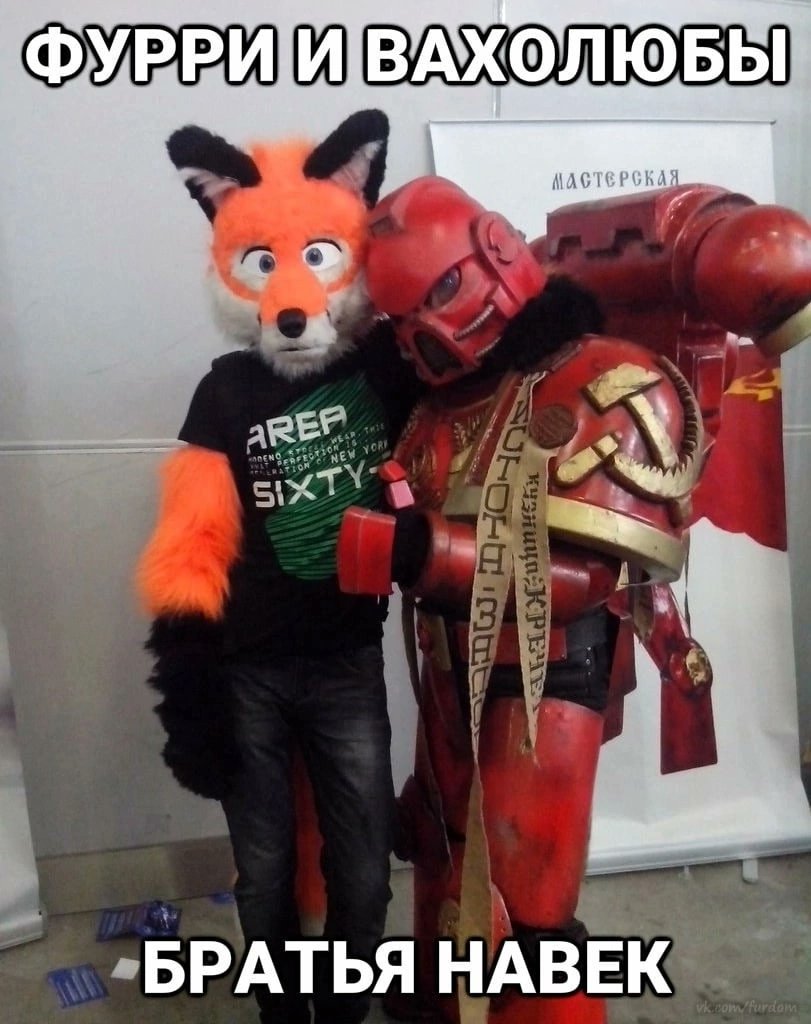 Волкодав Чëрный tweet media