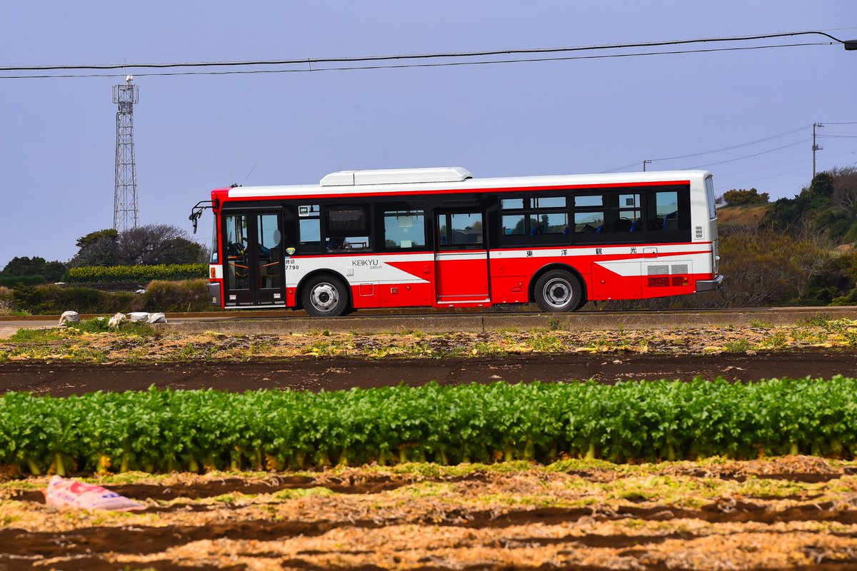 らくらくくん tweet media