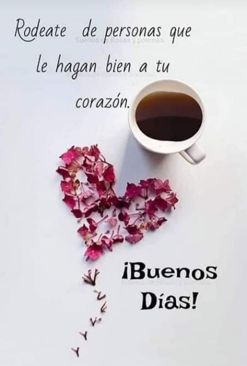 Andrea Soto tweet media