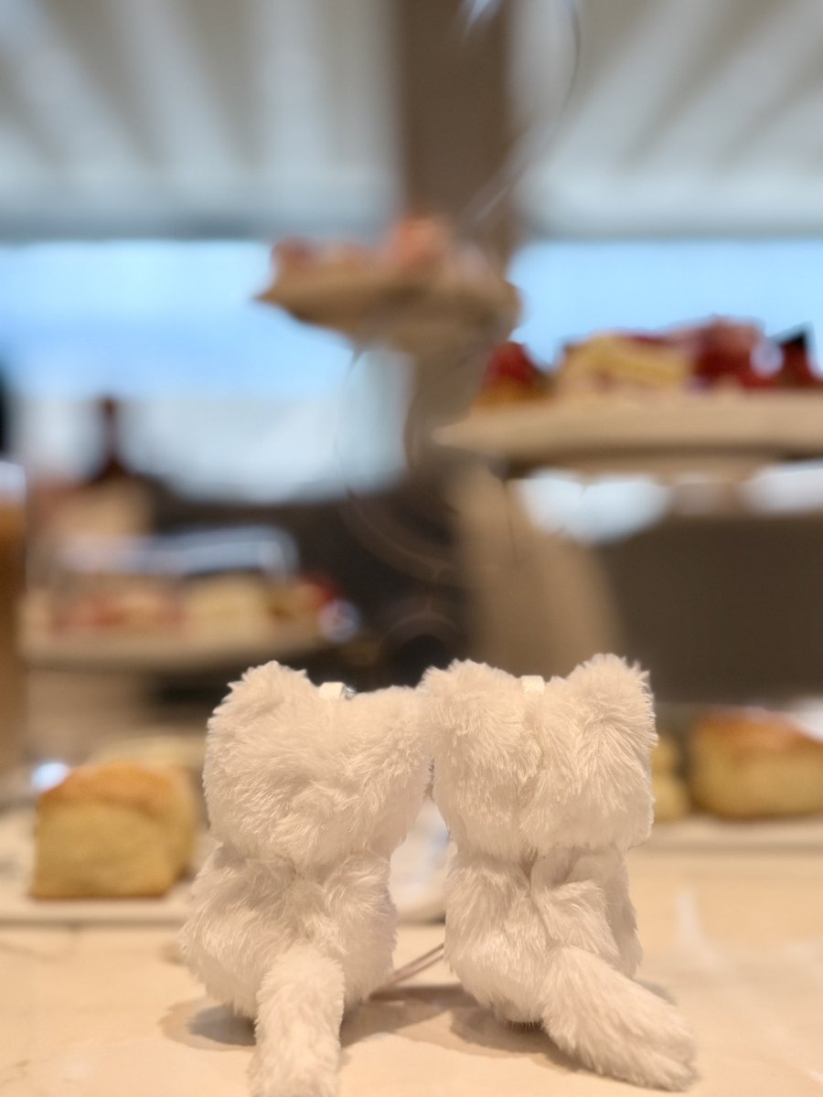 甘えび tweet media