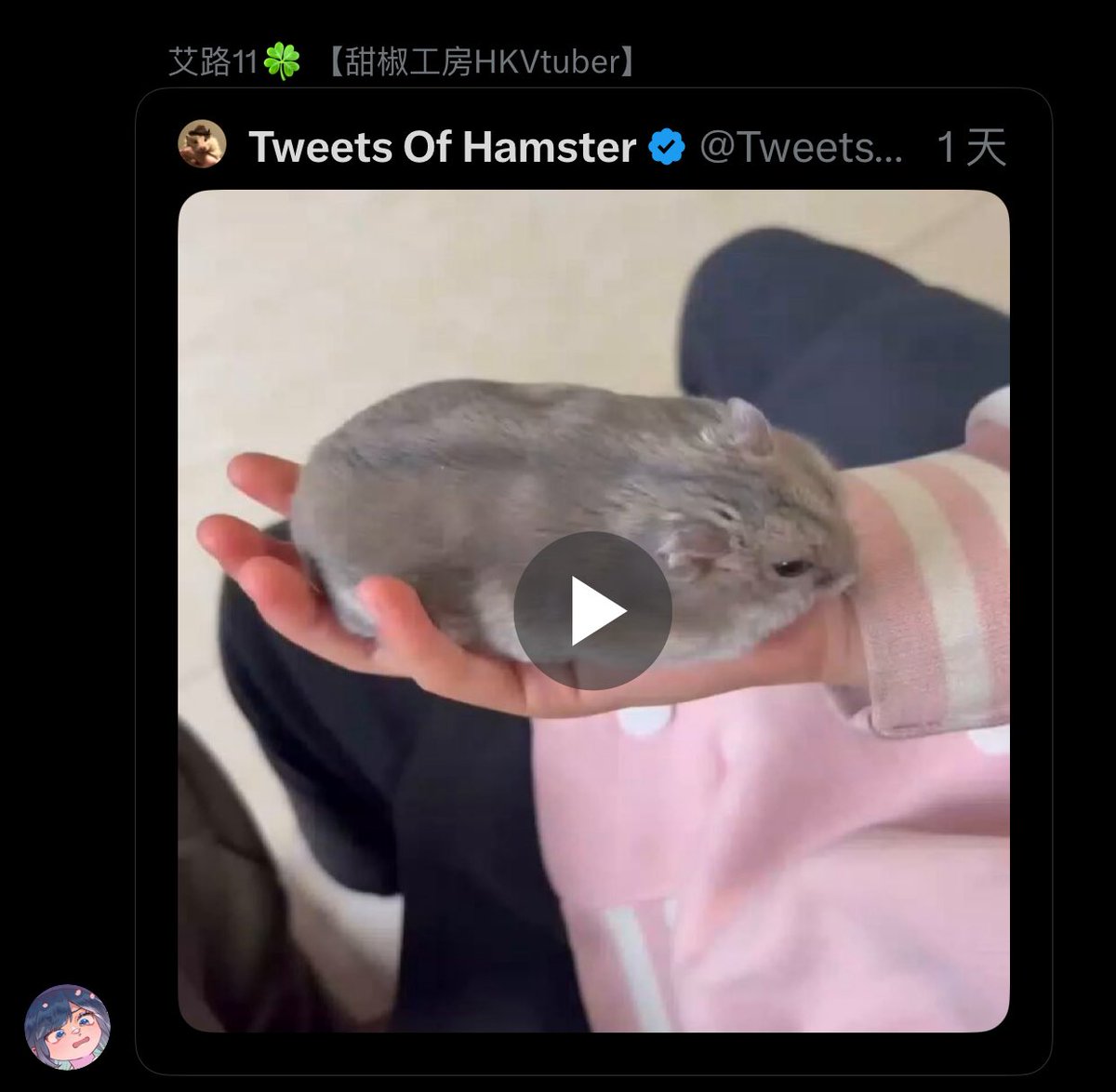 彌歌魚💕【甜椒工房HKVtuber】 tweet media
