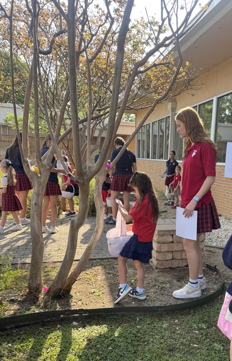 Grapevine Faith tweet media