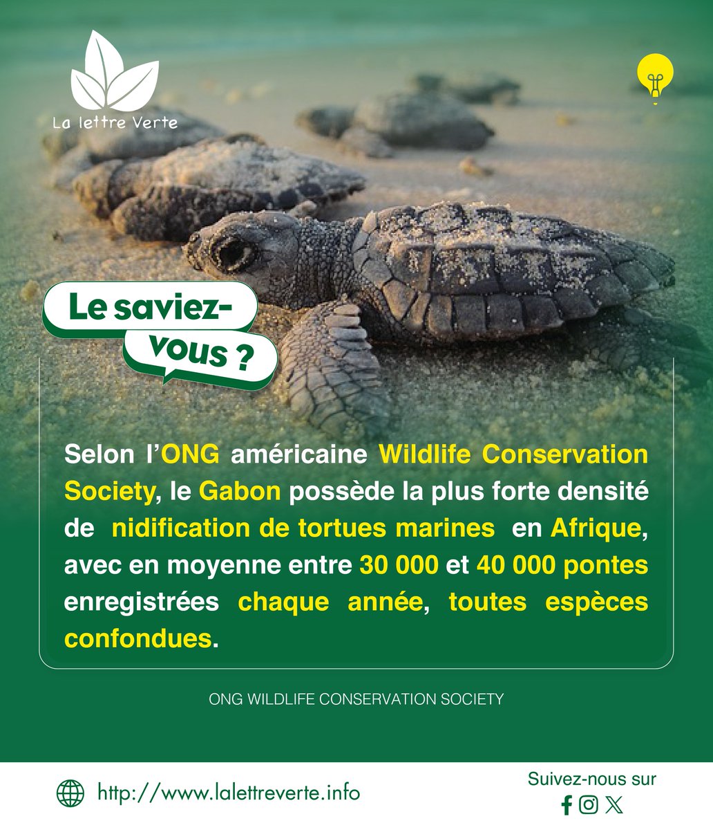 La Lettre Verte Gabon tweet media