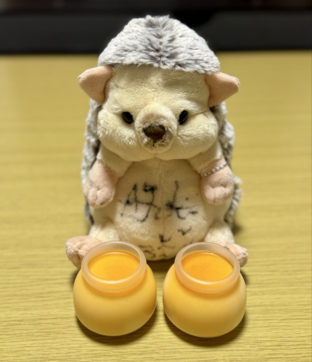 ろこ🌻🦔⸒⸒🧡 tweet media