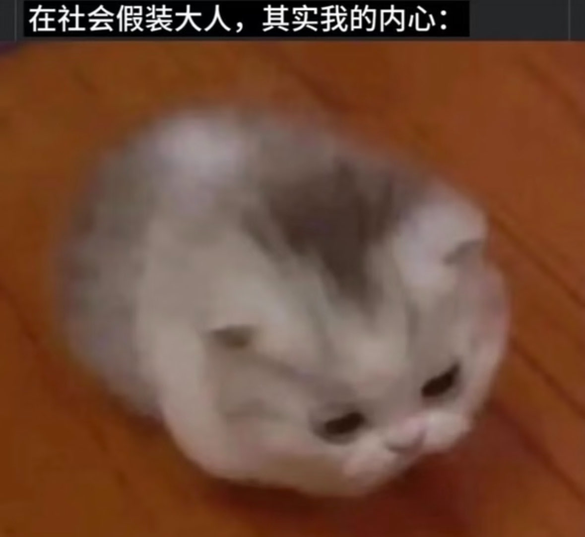 Jyu1vi's tweet photo. 唉。。 https://t.co/HBrzih9oq0