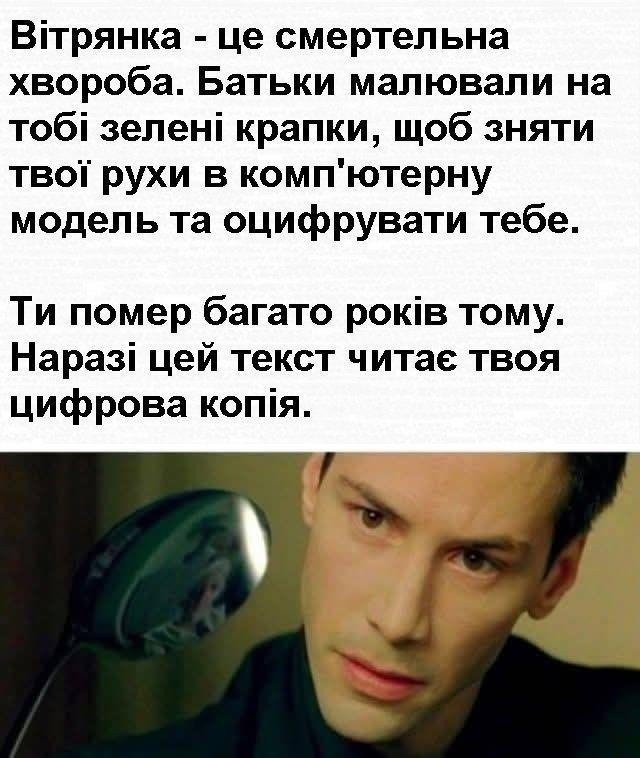 Баба і кіт tweet media