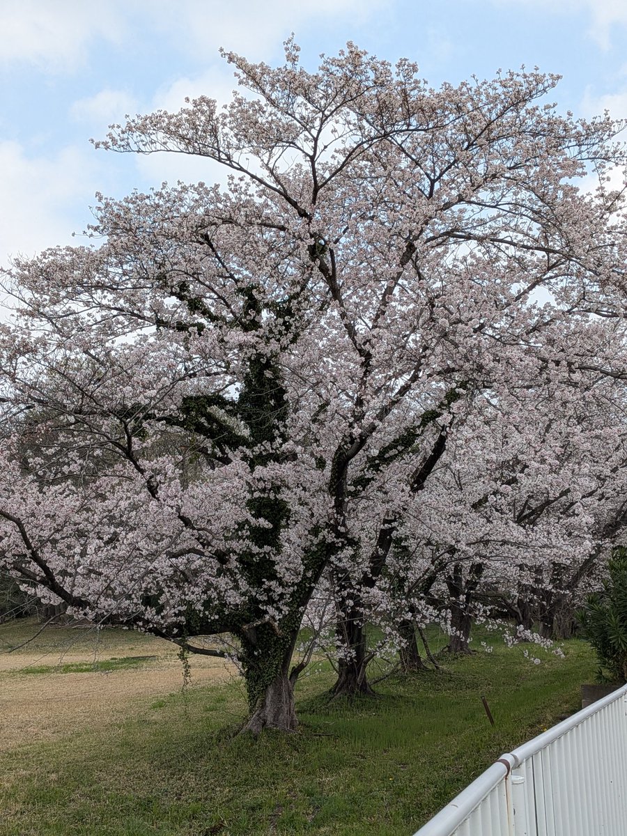 かまたゆ５２📎 tweet media