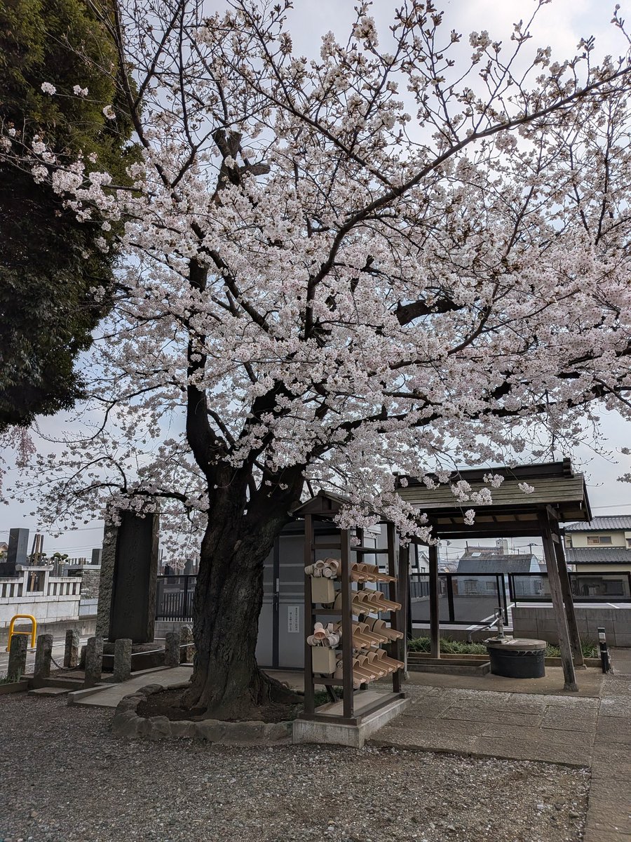 かまたゆ５２📎 tweet media