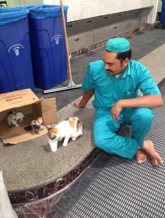 عادل علي بن علي tweet media