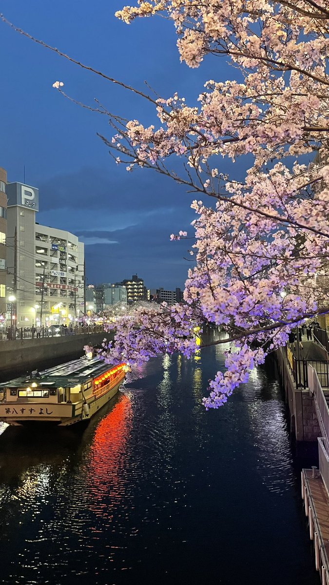 ディタ tweet media