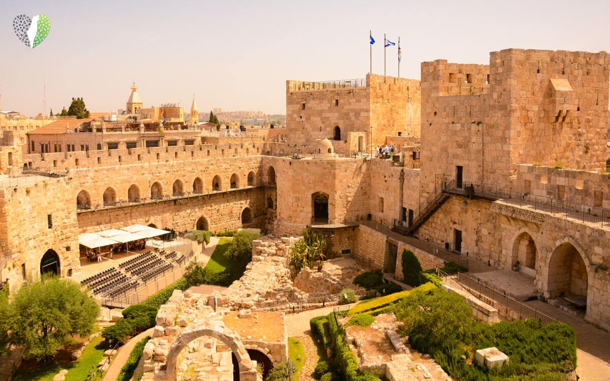 Sarah Abv tweet media